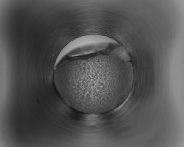 X0000093210192200710101333