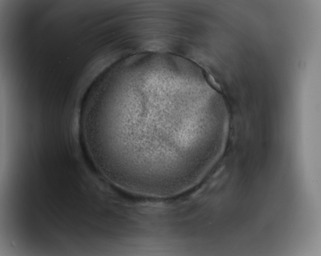 X0000093210194200710101333