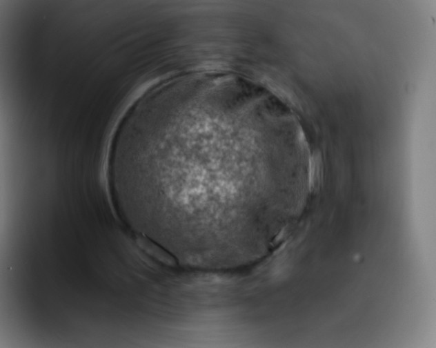 X0000093210195200710101333