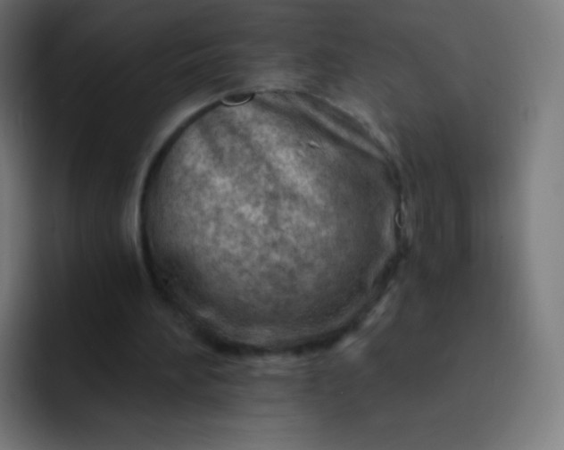 X0000093210196200710101333