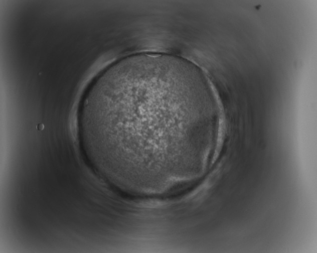 X0000093210198200710101333