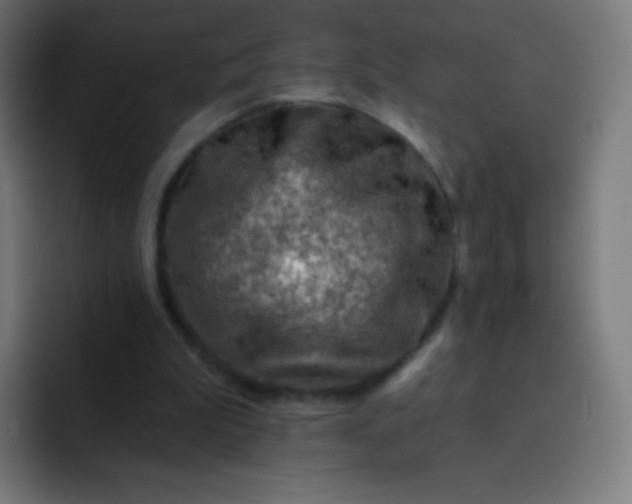 X0000093210199200710101333