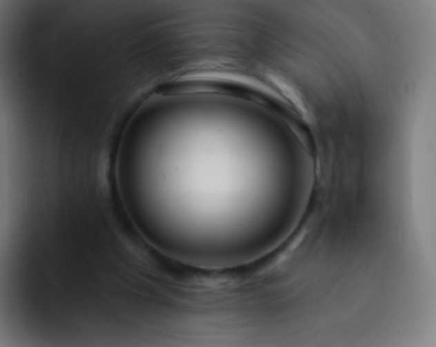 X0000093210201200710101333