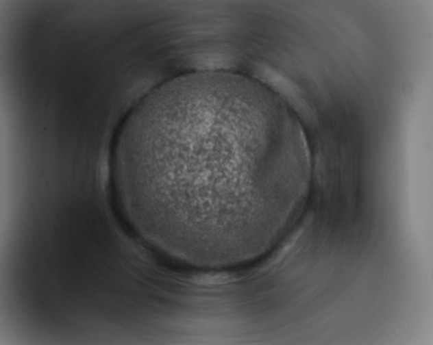 X0000093210202200710101333