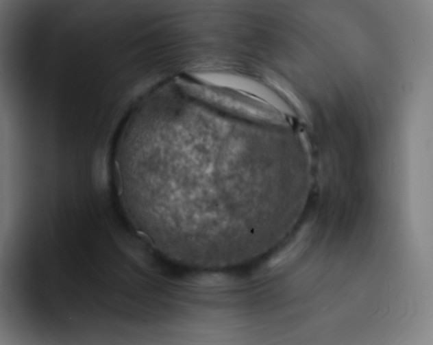 X0000093210203200710101333