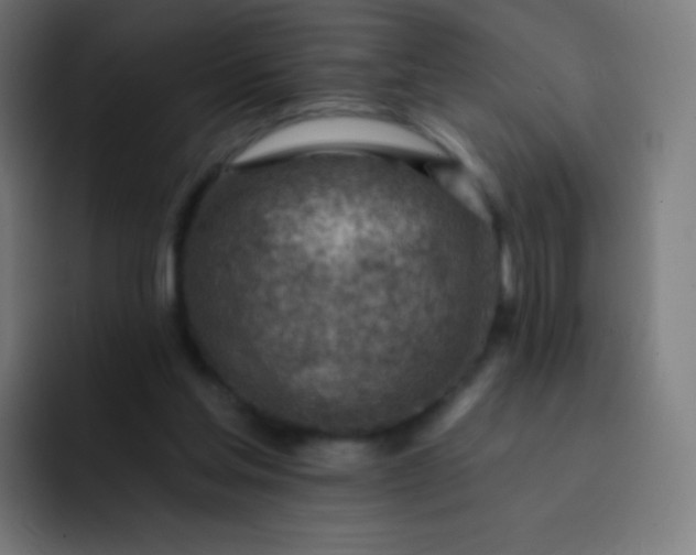 X0000093210205200710101333