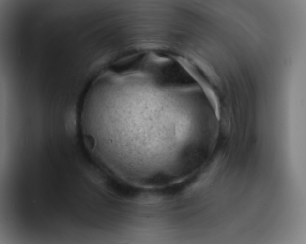 X0000093210207200710101332