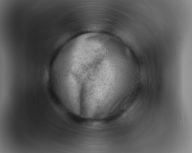 X0000093210208200710101332