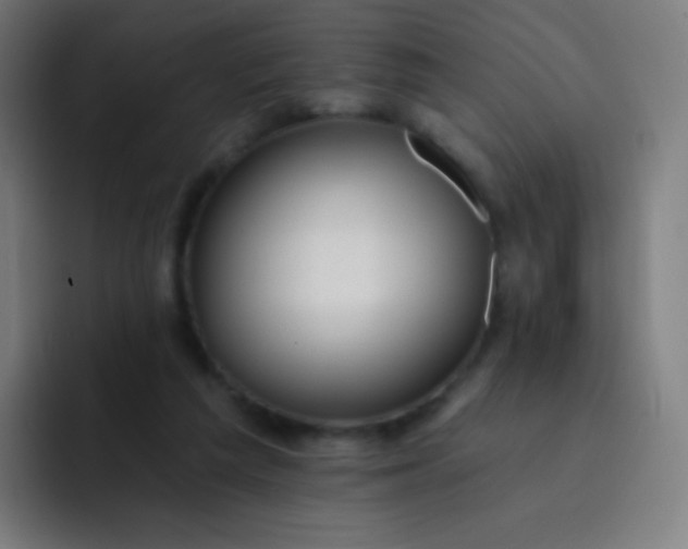 X0000093210209200710101332