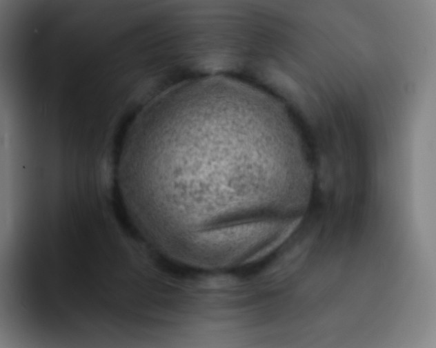 X0000093210210200710101332