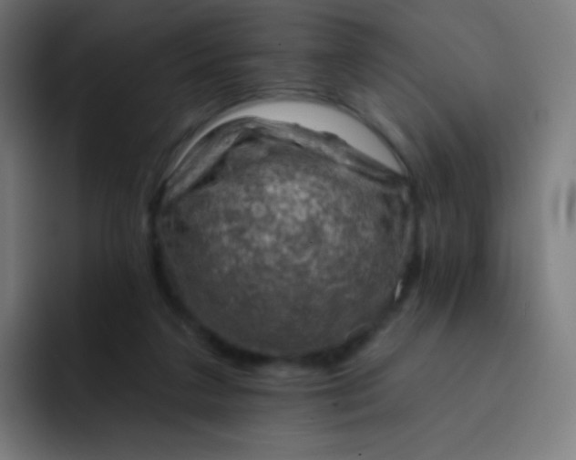 X0000093210211200710101332