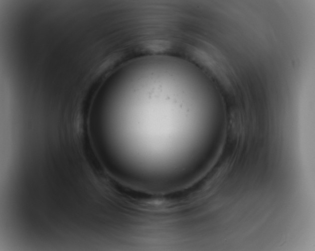 X0000093210212200710101332