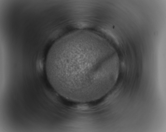 X0000093210214200710101332