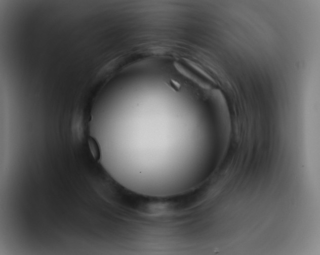 X0000093210216200710101332