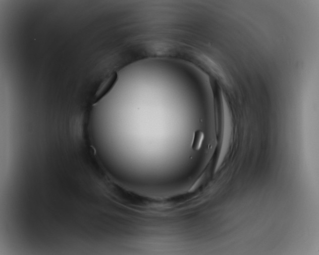 X0000093210217200710101332