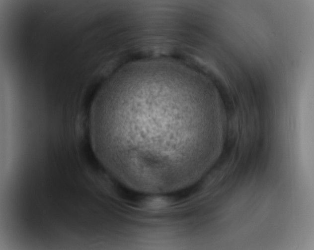 X0000093210218200710101332