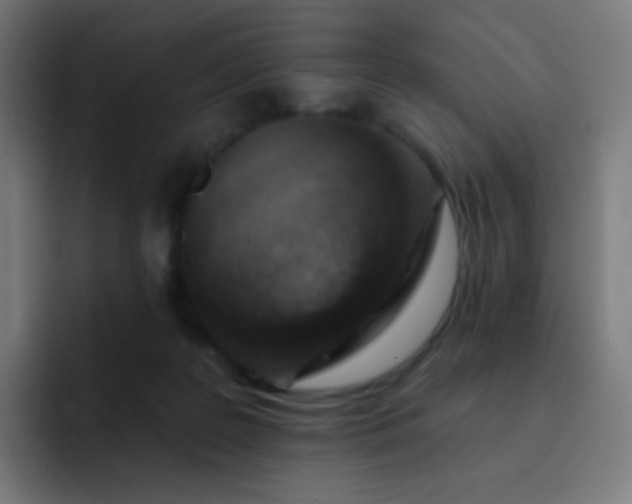 X0000093210219200710101332