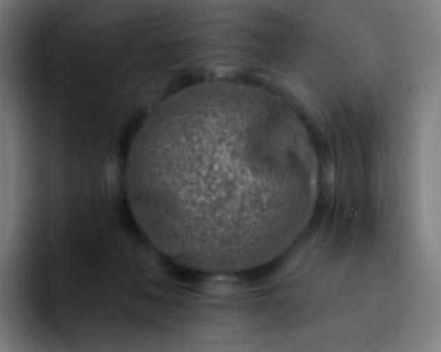 X0000093210222200710101332