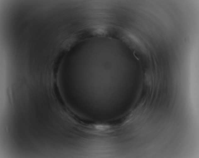 X0000093210223200710101332