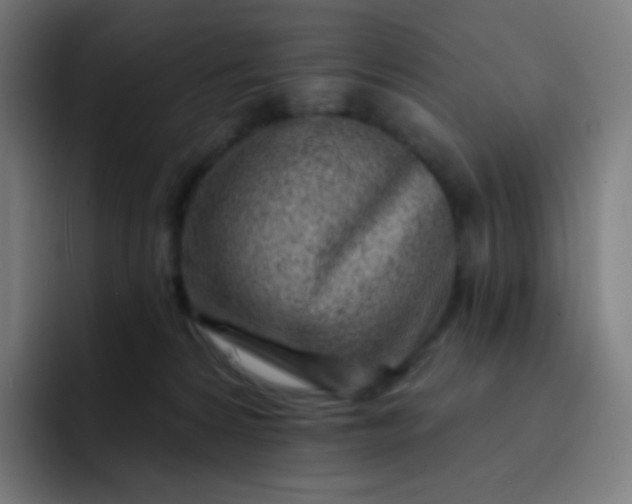 X0000093210224200710101332