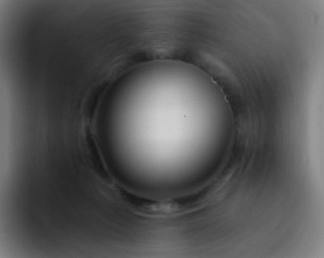 X0000093210225200710101332