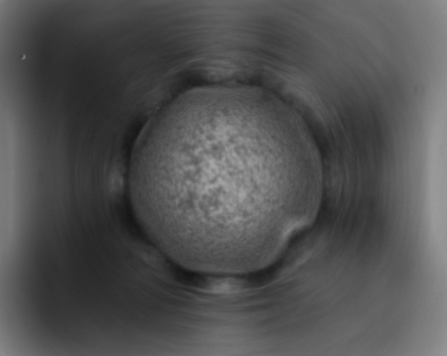 X0000093210226200710101332