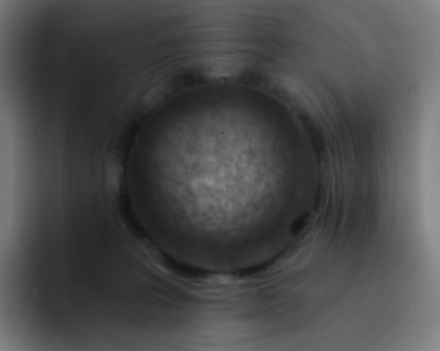 X0000093210227200710101332