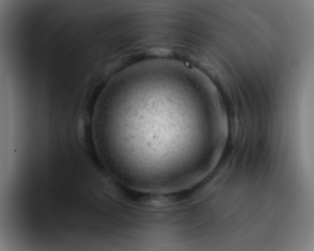 X0000093210229200710101332