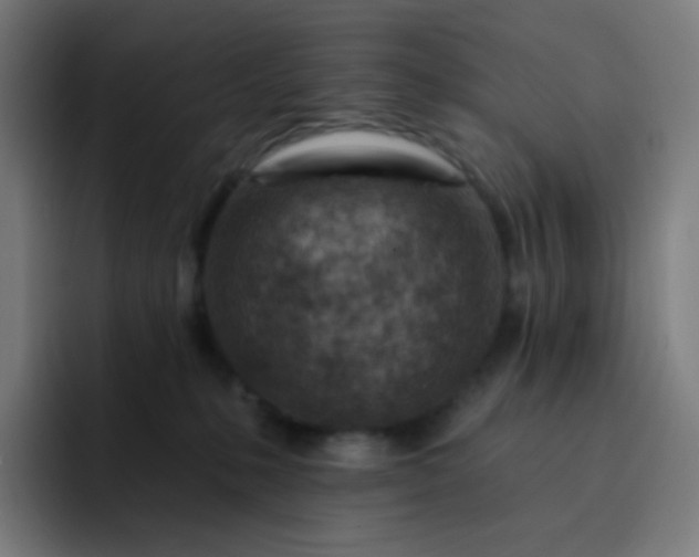 X0000093210231200710101332