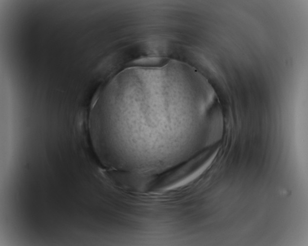 X0000093210233200710101332