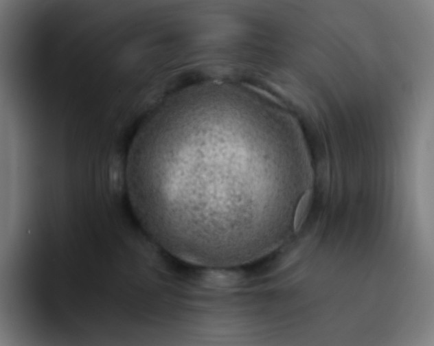 X0000093210234200710101332