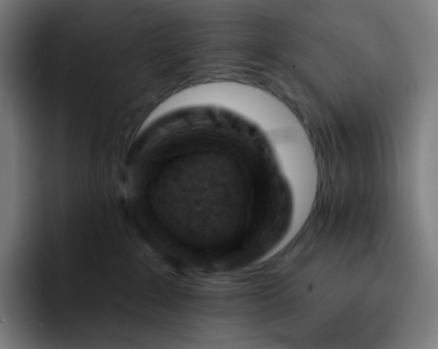 X0000093210235200710101332