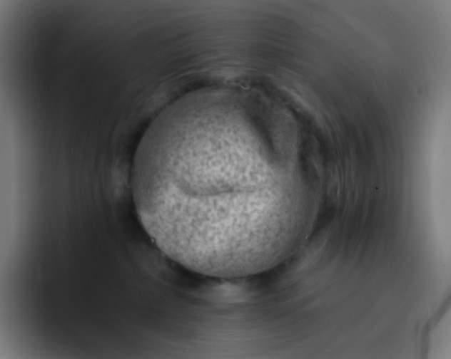 X0000093210236200710101332