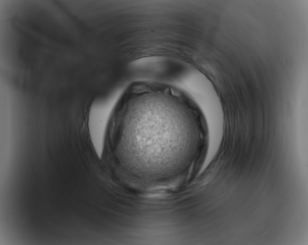 X0000093210237200710101332