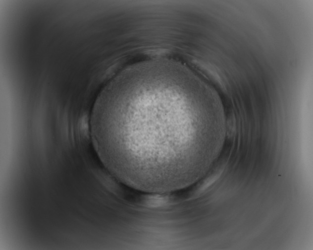 X0000093210238200710101332