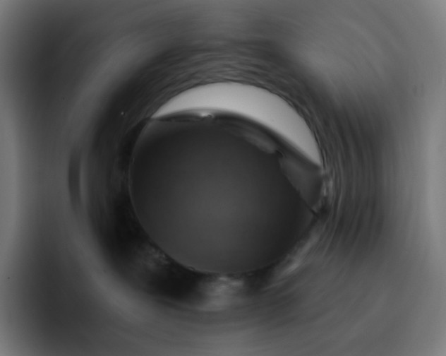 X0000093210239200710101332