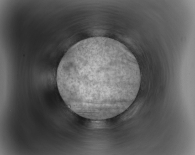 X0000093210240200710101332