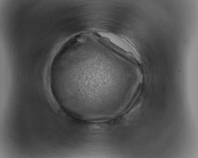 X0000093210241200710101332