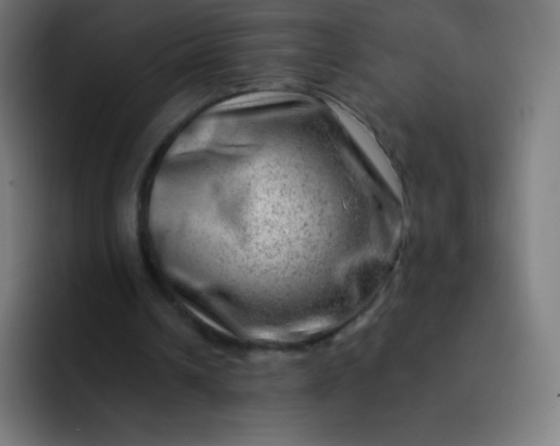 X0000093210242200710101332