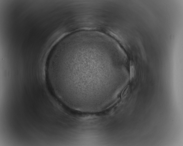 X0000093210243200710101332