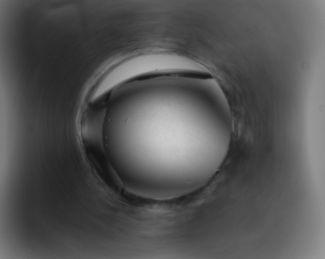 X0000093210244200710101332