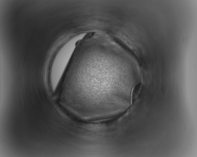 X0000093210245200710101332