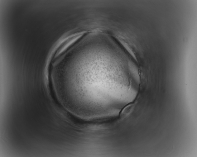 X0000093210246200710101332