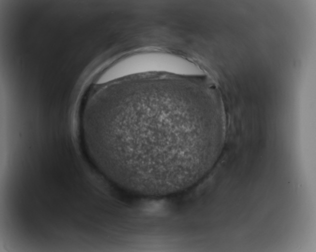 X0000093210247200710101332