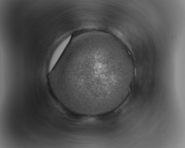 X0000093210249200710101332