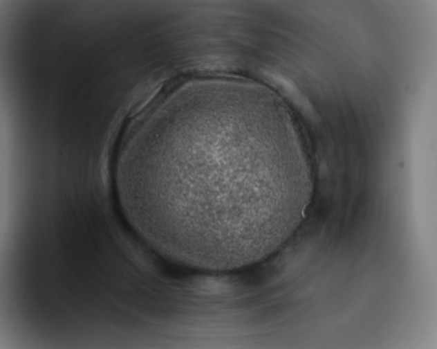 X0000093210250200710101332