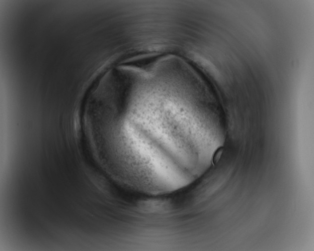 X0000093210251200710101332