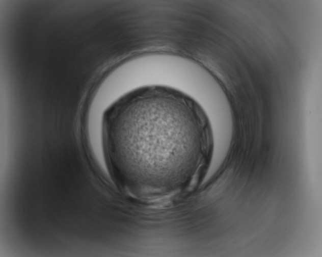 X0000093210252200710101332