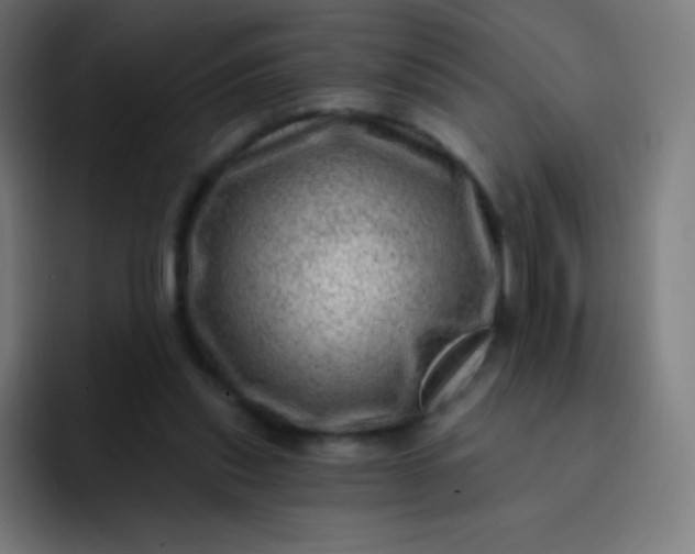 X0000093210253200710101332