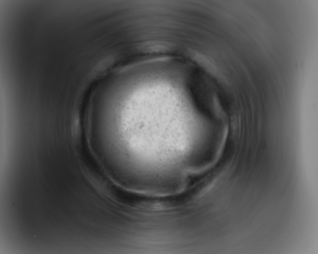 X0000093210254200710101332